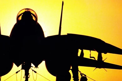 F 14 Tomcat Aircraft Airplanes Wallpapers