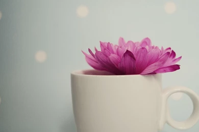 Pretty Pink Wallpapers   Wallpapers Cave