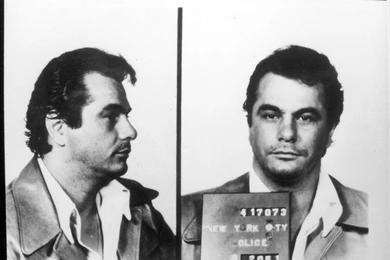 Die DAF Highlights Vom 14. Bis 17. April 2014