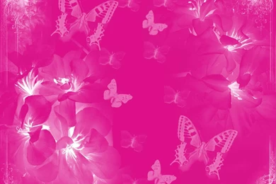 Pinkwallpapers   HD Wallpapers Pretty