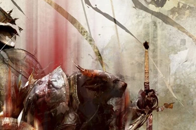 Download Iphone 5 Wallpapers Guild Wars 2   Guild Wars 2 iPhone 5 ...