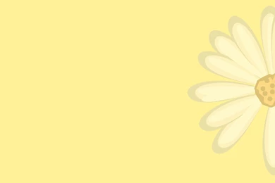 Soft Pink Flower Backgrounds – Free Christian Images