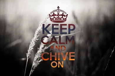 Awesome Desktop Wallpapers : TheCHIVE