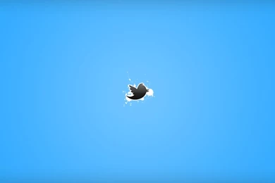 Twitter Logo Wallpapers