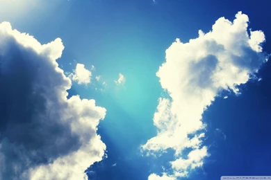 Twitter Wallpapers 2015