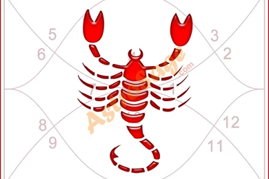 Zodiac Signs Scorpio