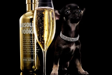 Wine Flikie Wallpapers