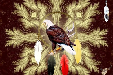 Wallpapers People Native Indian American 1024x768