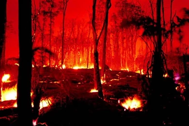 PC Wallpapers Live Photos: Nature Wallpapers