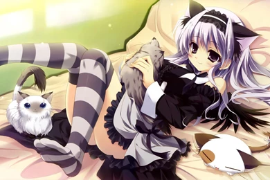 Cute Emo Cat Girl   (