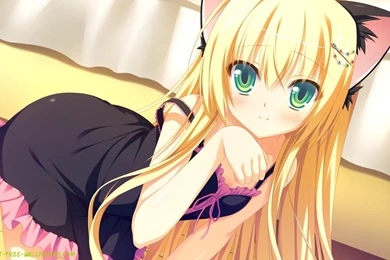 Wallpapers Anime Cat Girl Catgirl 110489.6 1280x800