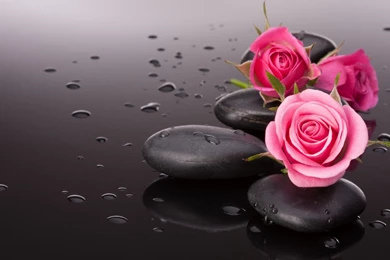Rose Stone HD Wallpapers Download For Desktop And Mobile