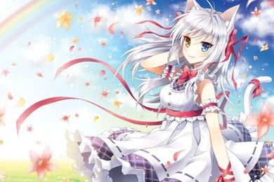 Anime Cat Girl With White Hair Wallpapers