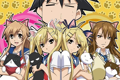 Cat Girls Anime HD Desktop Wallpapers