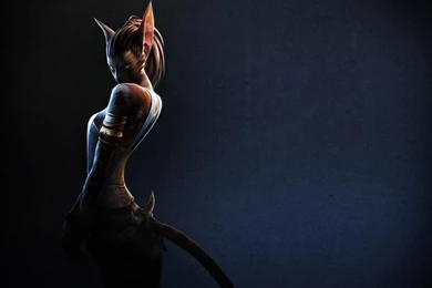 Half Cat Half Girl HD Wallpapers