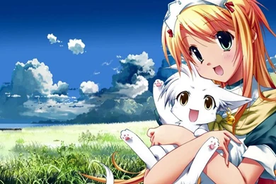 Anime Cat Girl   Google Search