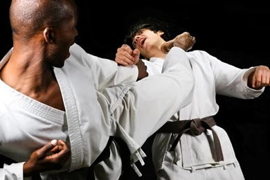 Download Wallpapers Kick, Karate, Fight, Training, Sports ...