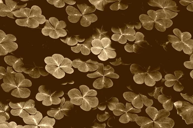 Vintage Flowers Wallpapers Picture