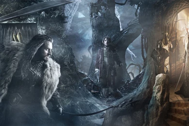 Top Desolation Of Smaug Wallpapers For Computer Wallpapers