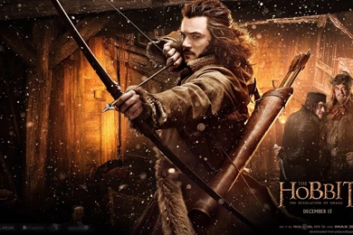 Download 1440x900 The Hobbit: The Desolation Of Smaug Archer Wallpapers