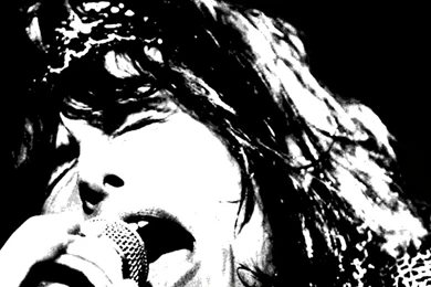 This Snake Is Gonna Rattle ~Steven Tyler & Aerosmith Wallpapers~