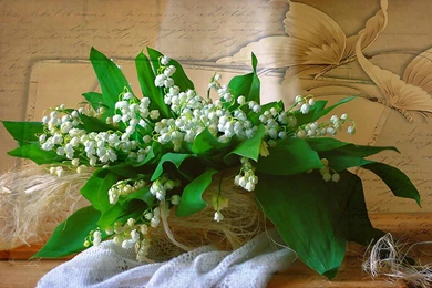 LILY OF THE VALLEY WALLPAPER   (