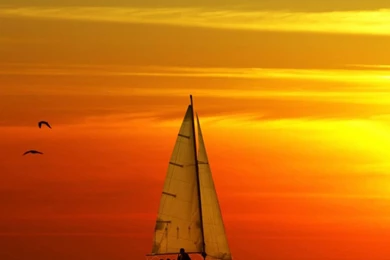 Samsung Galaxy S5 Wallpapers   Sunset (12)   Shy Android