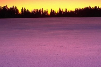 Samsung Galaxy S5 Wallpapers   Sunset (3)   Shy Android