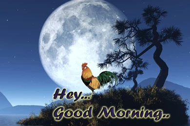 Good Morning Backgrounds Wallpapers
