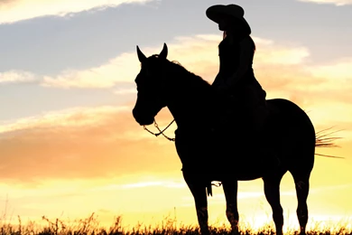 Iron Cowgirl Competition