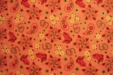 Cowgirl Boots Horseshoe Paisley Western Star Glitter By Scizzors