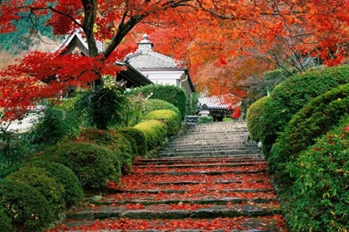 Fall Nature Wallpapers   Desktop Backgrounds