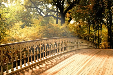 Bridge Wooden Fall Nature Landscapes