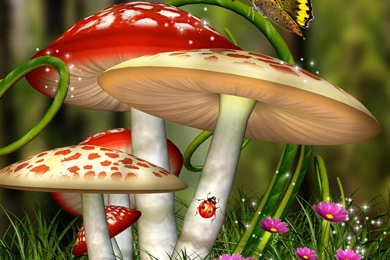 CUTE FAIRYLAND WALLPAPER   (