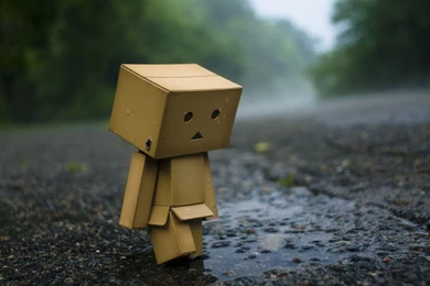 Fun Photographic Wallpapers Image Robot_High Definition Wallpapers ...