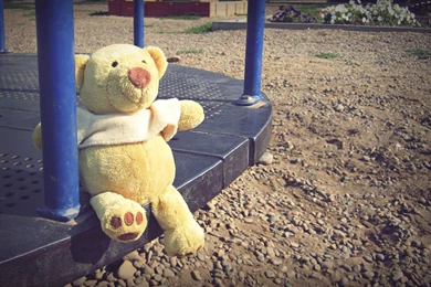 Teddy Bear On The Photographic Wallpapers Of Toy Theme: Outdoor ...