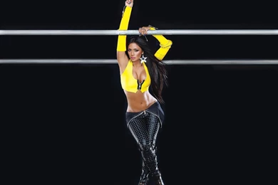 Booty Me Now: Nicole Scherzinger Hot Wallpapers