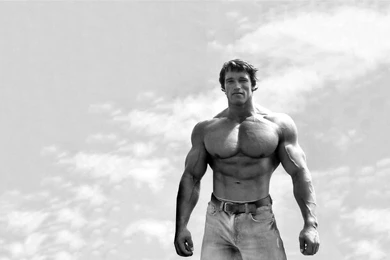 Fonds D'écran Arnold Schwarzenegger : Tous Les Wallpapers Arnold ...