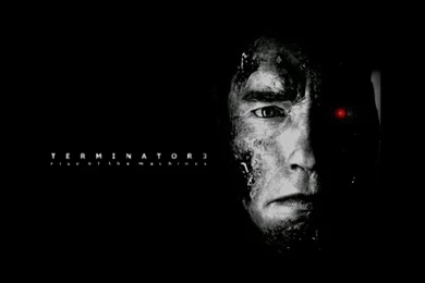 Arnold Schwarzenegger Wallpapers   Wallpapers Cave