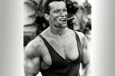 Arnold Schwarzenegger Wallpapers