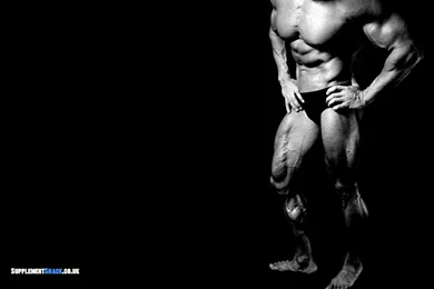 Download Free HD Wallpapers : Arnold Schwarzenegger Conquer ...