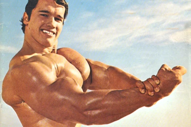 Arnold Schwarzenegger HD Wallpapers