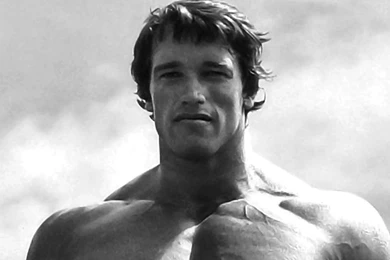 14 Quality Arnold Schwarzenegger Wallpapers, Celebrity