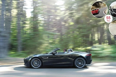 2014 Jaguar F TYPE   Side