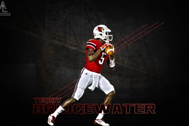 Year Of The Fan Louisville