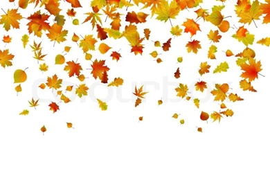 Backgrounds Of Autumn Leaves. EPS 8 Vector File Included