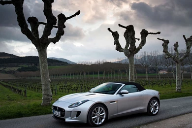 2015 Jaguar F type