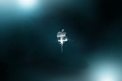 Kubuntu Wallpapers » WallDevil   Best Free HD Desktop And Mobile ...