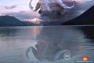 Fantasy Wallpapers, Beautiful Fantasy Wallpapers, Free Fantasy ...