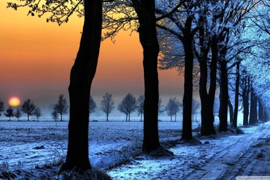 Landscapes Winter Hd Wallpapers
